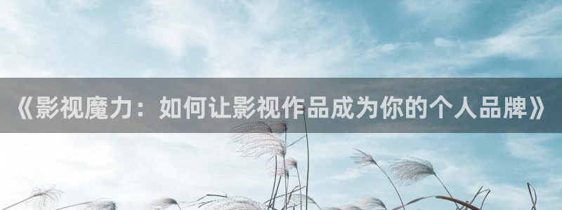 麻豆影业：《影视魔力：如何让影视作品成为你的个人品牌》