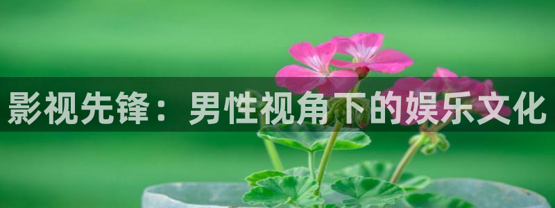 麻豆高清不卡视频：影视先锋：男性视角下的娱乐文化