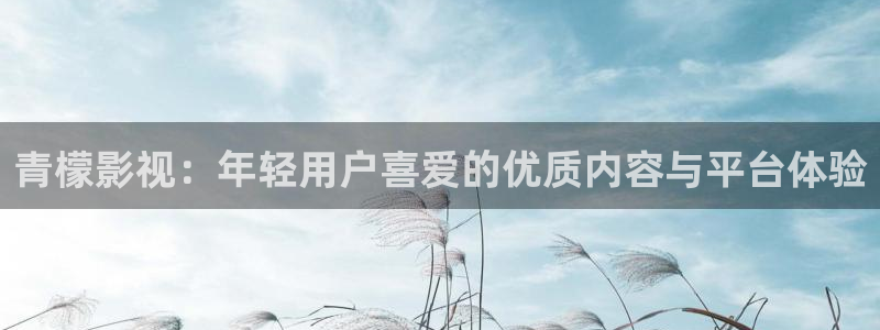 播播影院之麻豆av